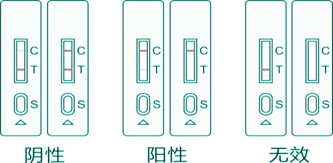 “瘦肉精”速檢測卡結果判讀