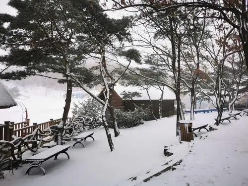 降雪或雨對病毒傳播產(chǎn)生的影響是復(fù)雜而多變的